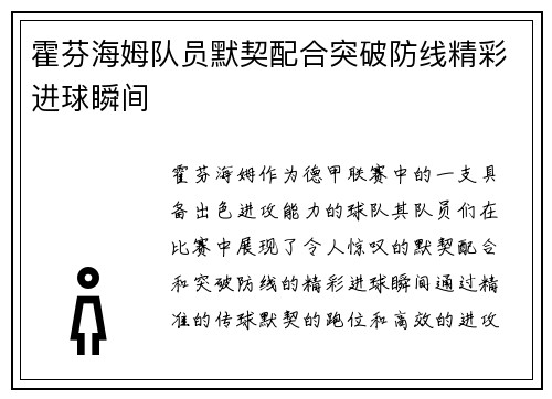 霍芬海姆队员默契配合突破防线精彩进球瞬间